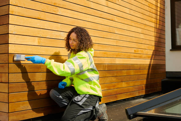 Best Brick Veneer Siding  in Chauvin, LA